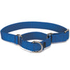Petsafe Martingale Collars Royal Blue
